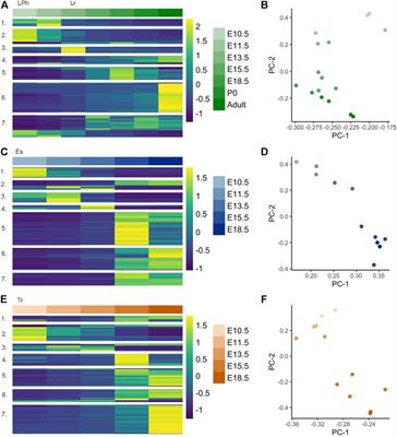 Transcriptome Dynamics in the Developing Larynx, Trachea, and Esophagus